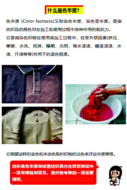 组 3.png
